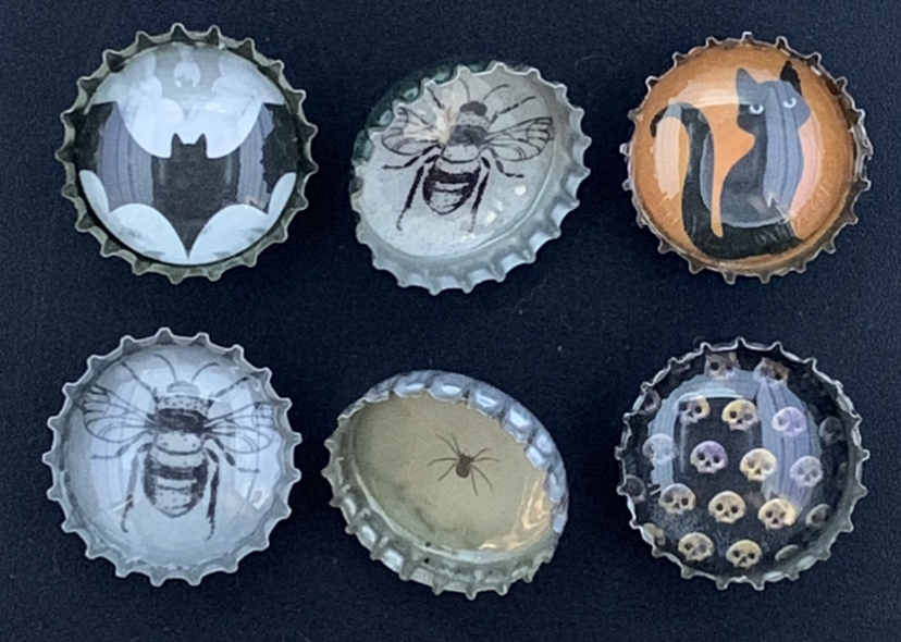 bottle cap magnets and pins